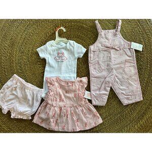 5 Piece Bundle Pink Overalls Tshirt w Snaps Dress Bloomers Bunnies 9 months